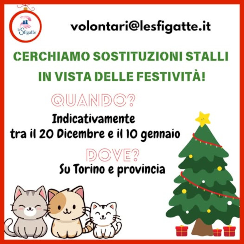 news di Le Sfigatte
