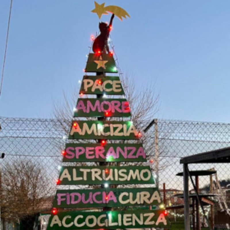 news di Le Sfigatte