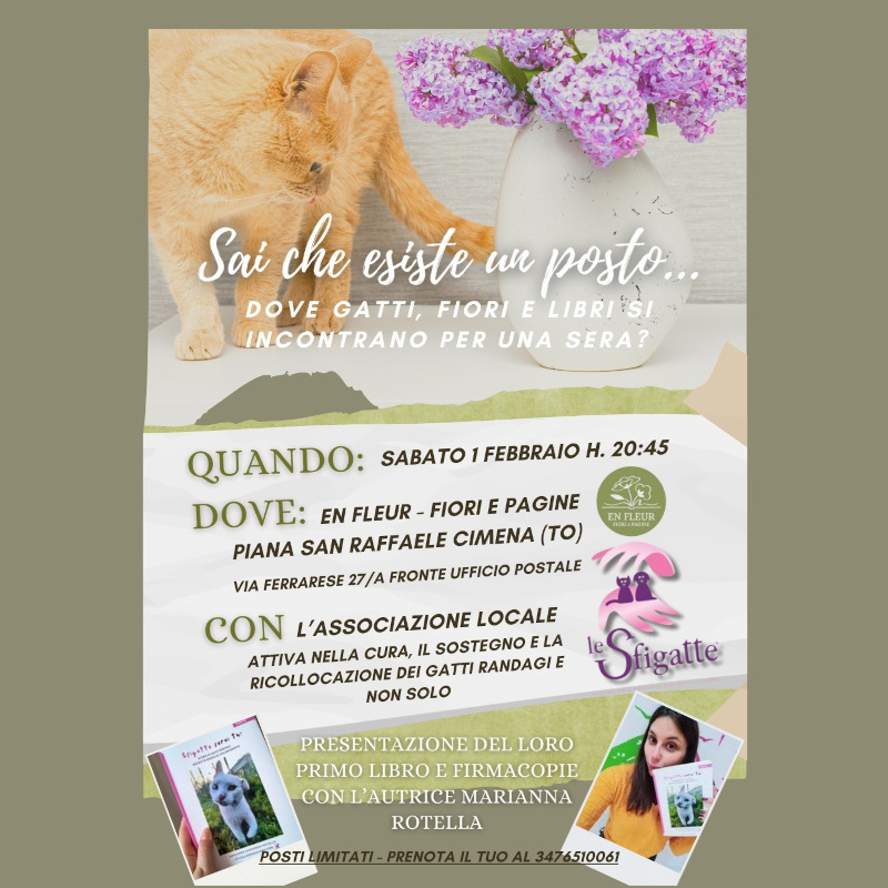news di Le Sfigatte
