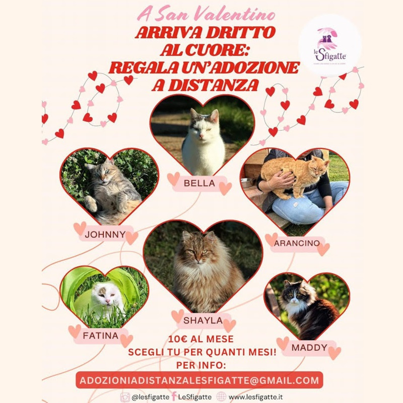news di Le Sfigatte