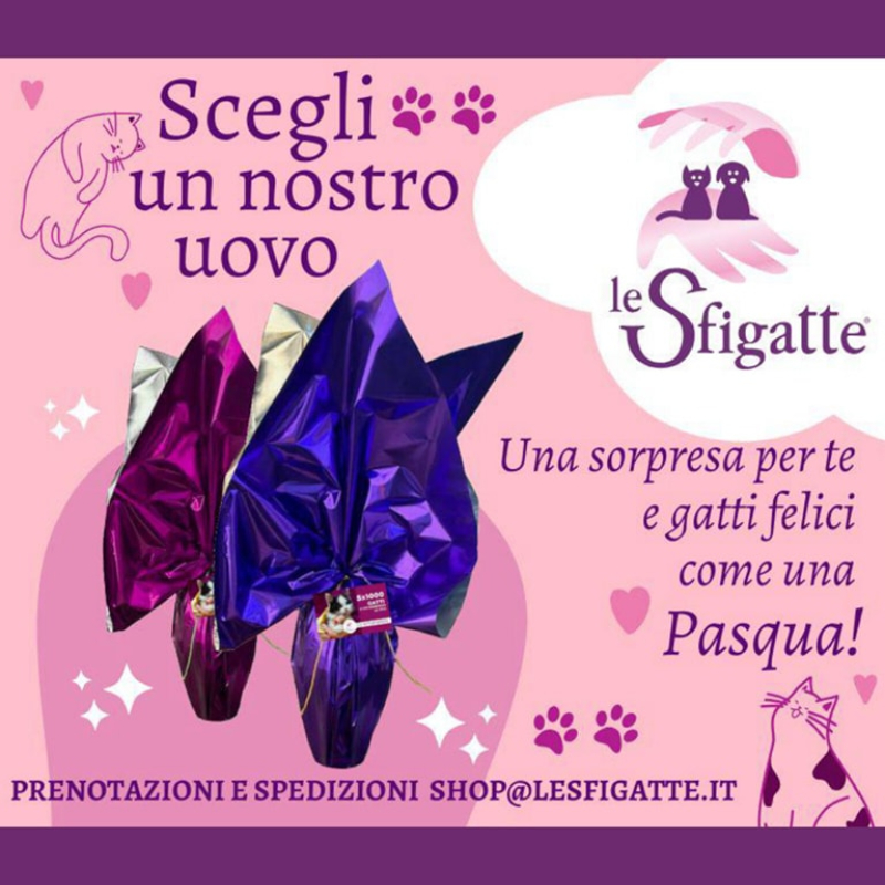 news di Le Sfigatte