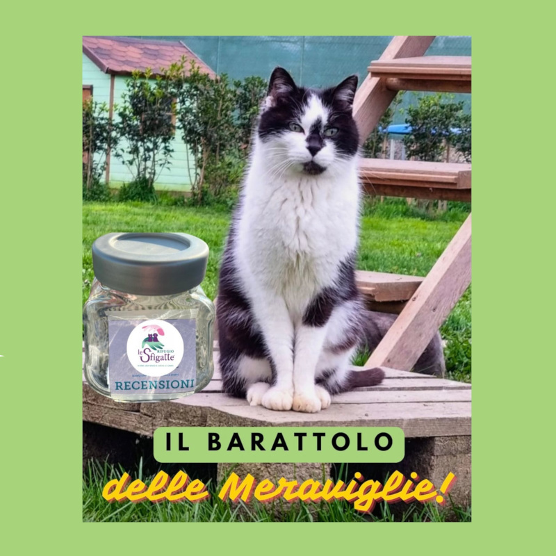 news di Le Sfigatte