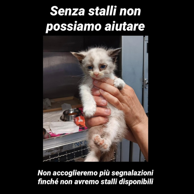news di Le Sfigatte