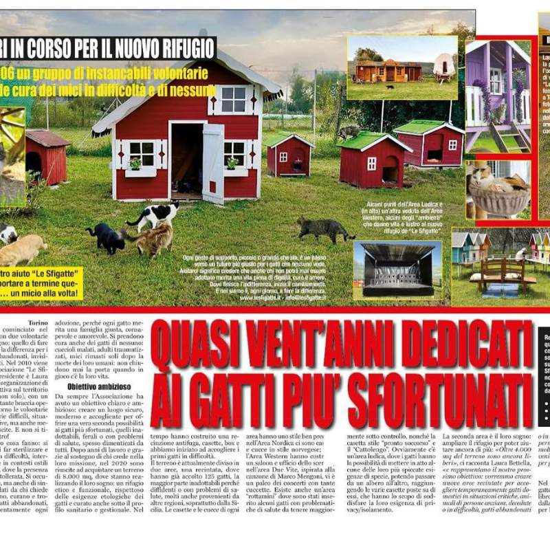 news di Le Sfigatte