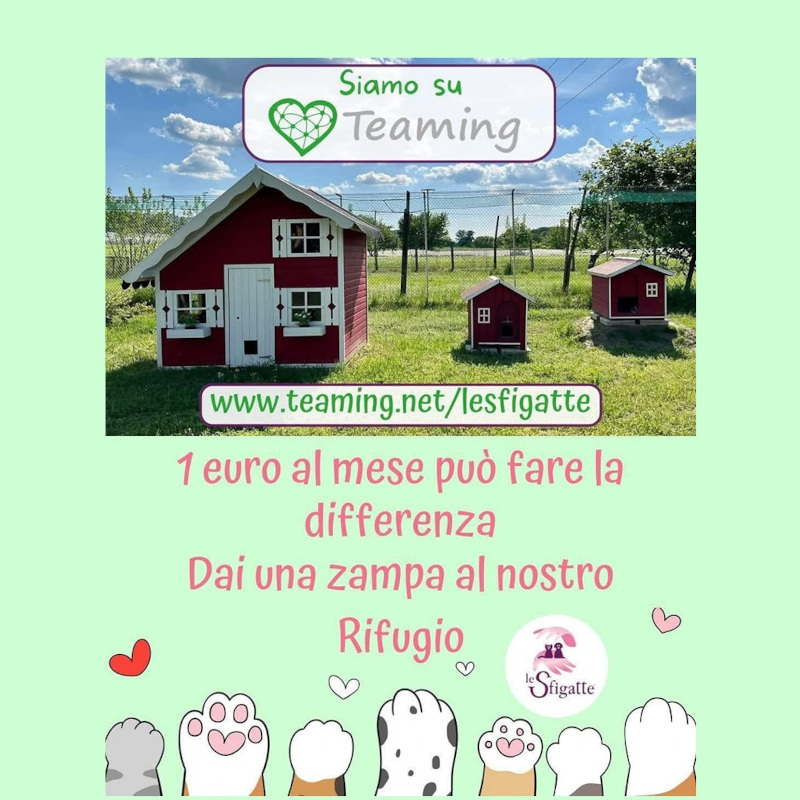 news di Le Sfigatte