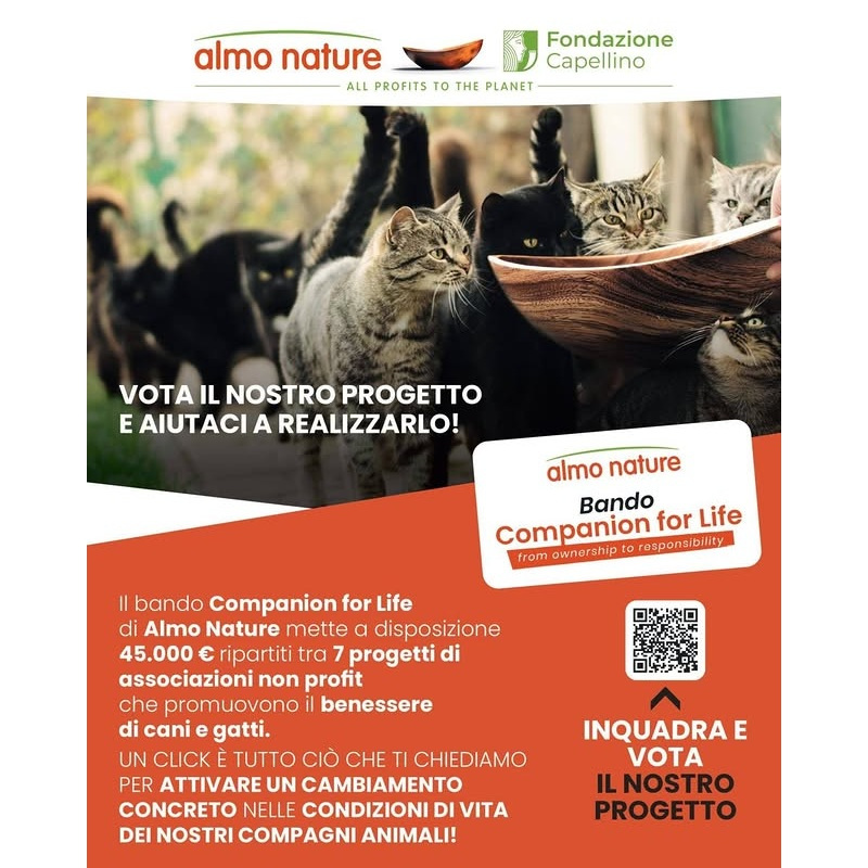 news di Le Sfigatte