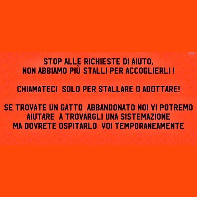 news di Le Sfigatte