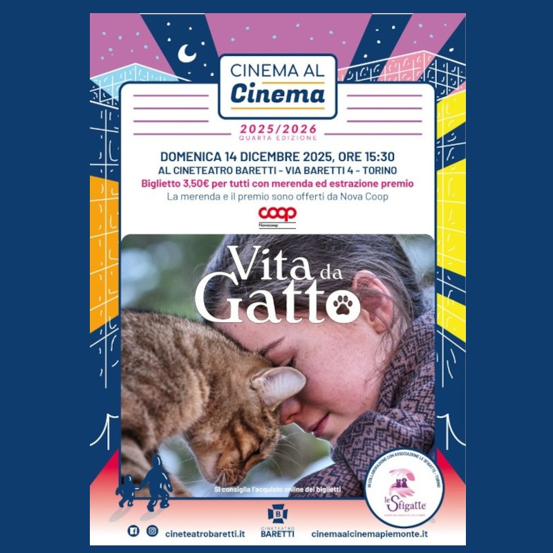 Rassegna "Cinema al Cinema" per famiglie: il CineTeatro Baretti ospita Le Sfigatte! (domenica 14 dicembre) | Associazione Le Sfigatte