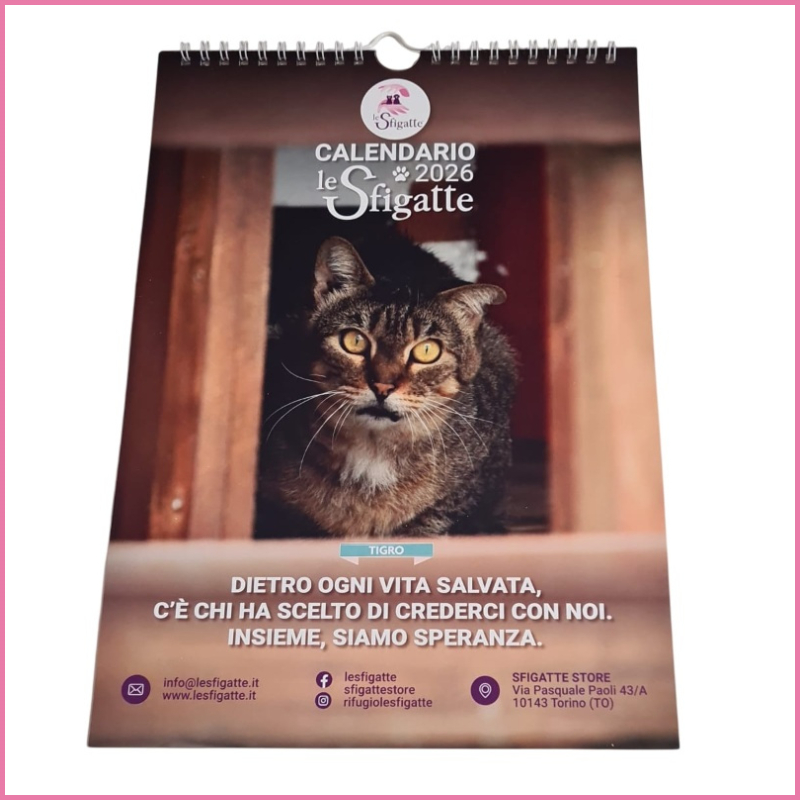 Il ricavato del Calendario Le Sfigatte 2026 serve a realizzare un progetto fondamentale: l’area FeLV del Rifugio | Associazione Le Sfigatte