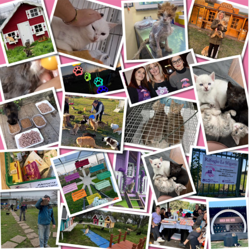 Un nuovo anno per donare vita, speranza e futuro | Associazione Le Sfigatte