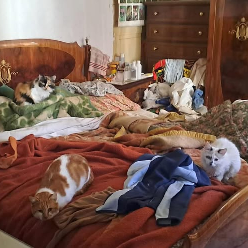 Tristi storie che si ripetono | Associazione Le Sfigatte