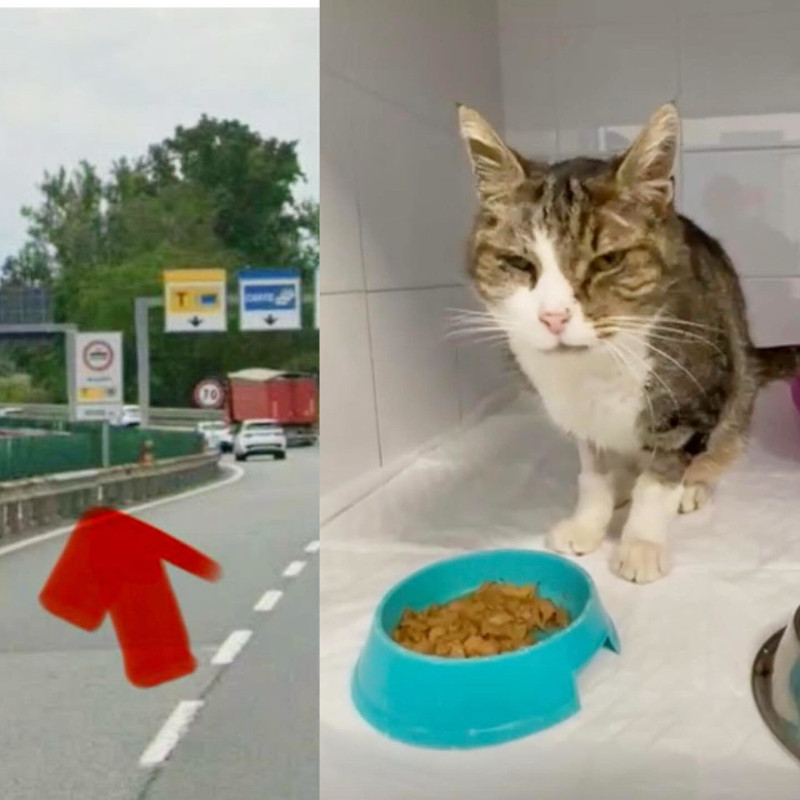 Una storia che poteva finire male. E invece no, grazie a Teodora e grazie a noi | Associazione Le Sfigatte