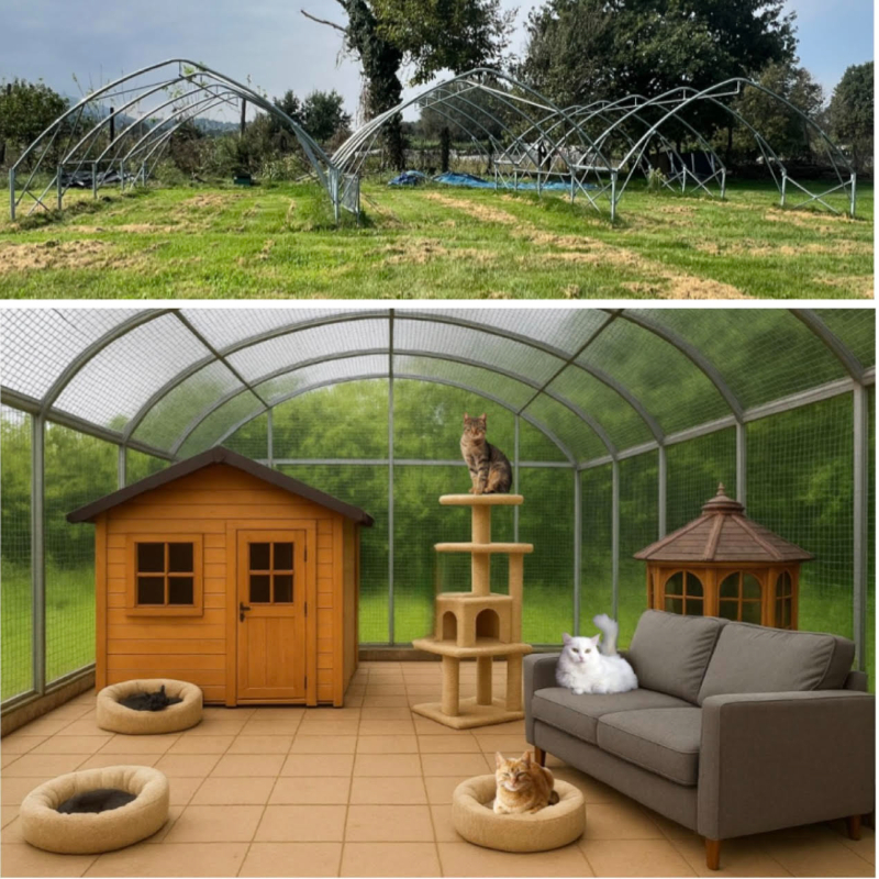 I Micio Loft stanno per diventare realtà: ora servono le mani | Associazione Le Sfigatte