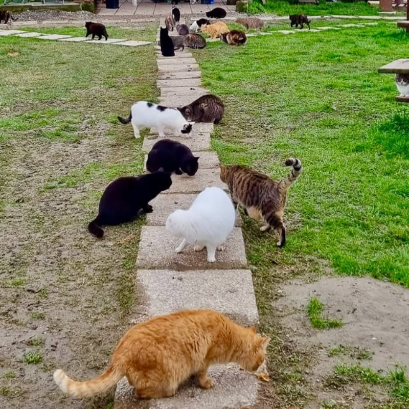 Happy Hour al Rifugio! | Associazione Le Sfigatte