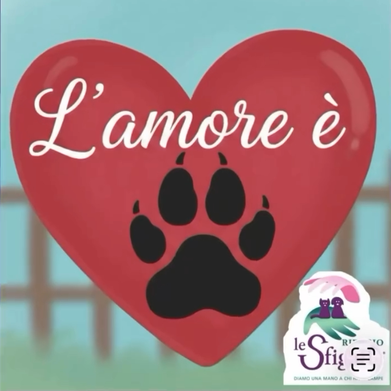 L'amore è.. | Associazione Le Sfigatte