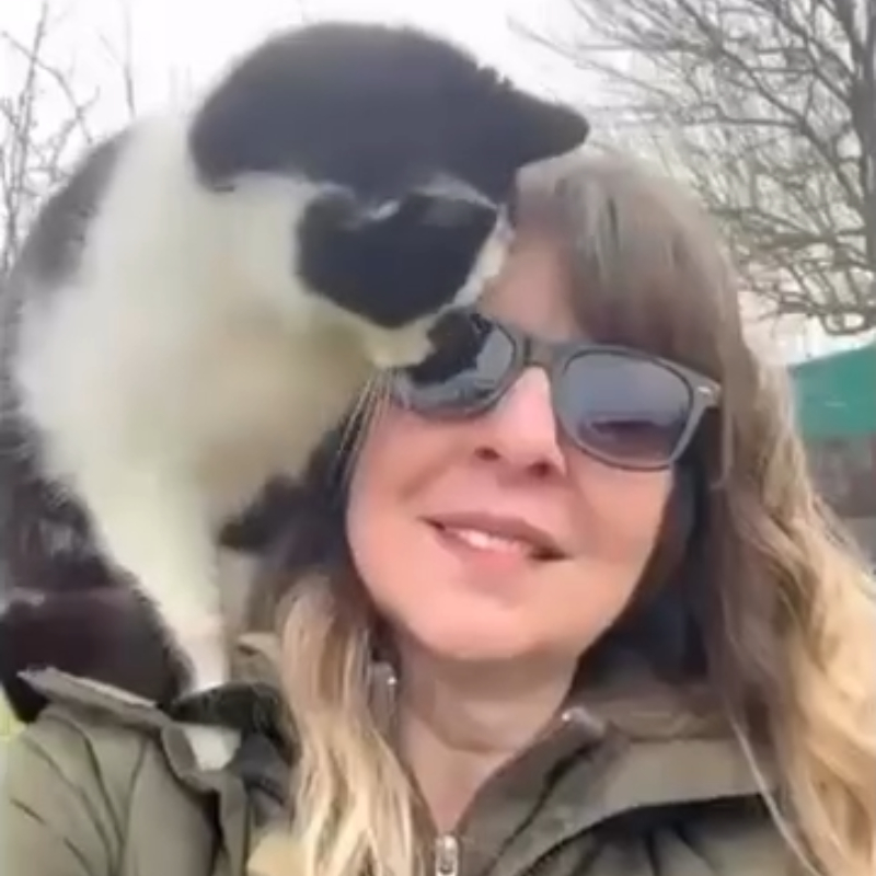 Aiutaci a costruire i Micio Loft: una casa per chi l’ha persa | Associazione Le Sfigatte