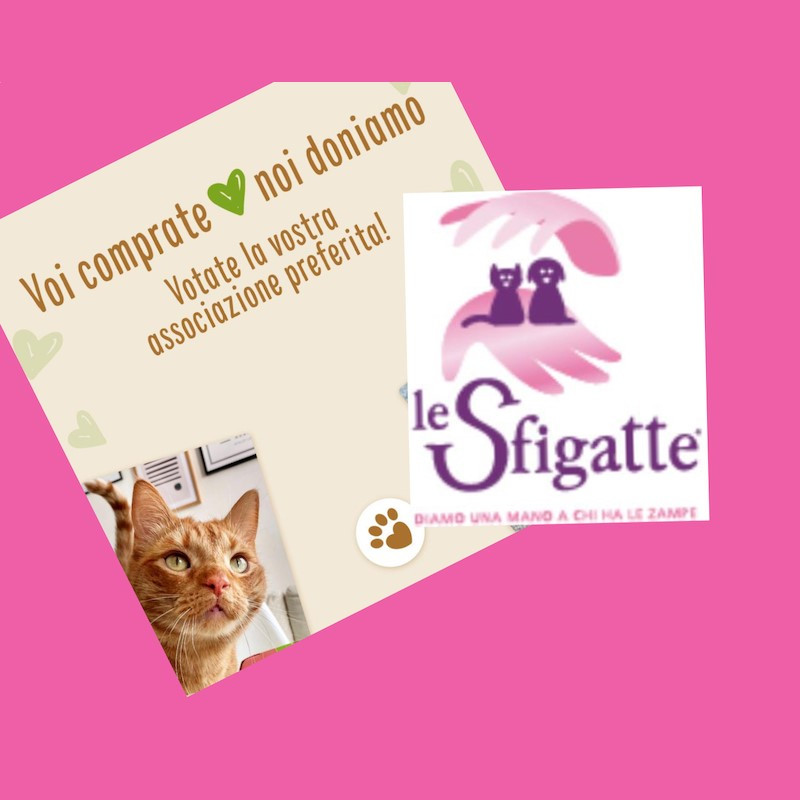 news di Le Sfigatte