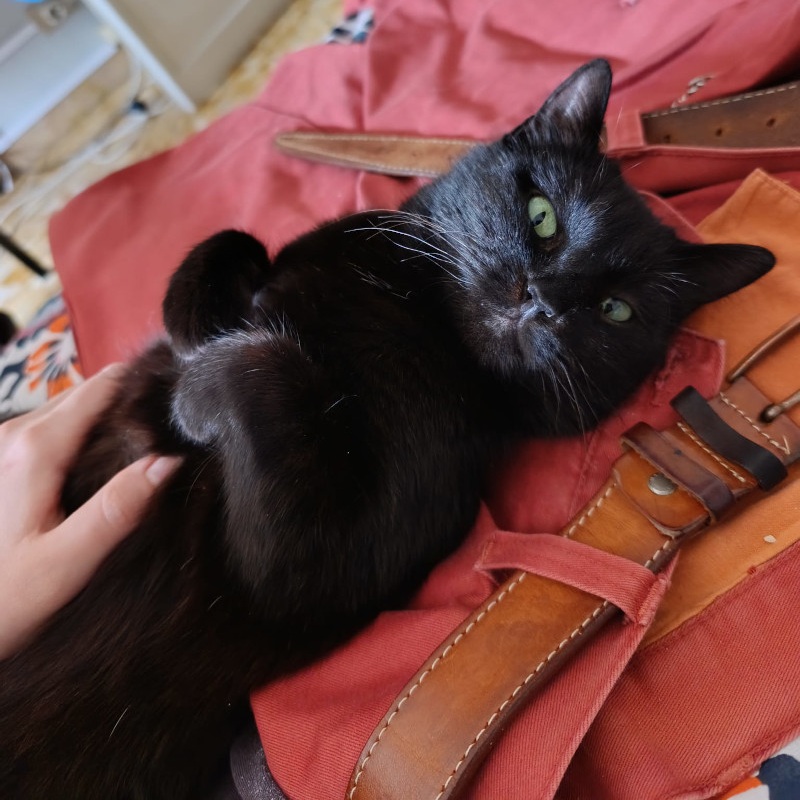 L'importanza di non voltarsi dall'altra parte! | Associazione Le Sfigatte