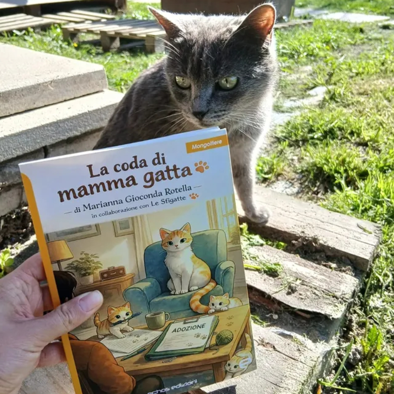 Nuova ospite al Rifugio.. | Associazione Le Sfigatte