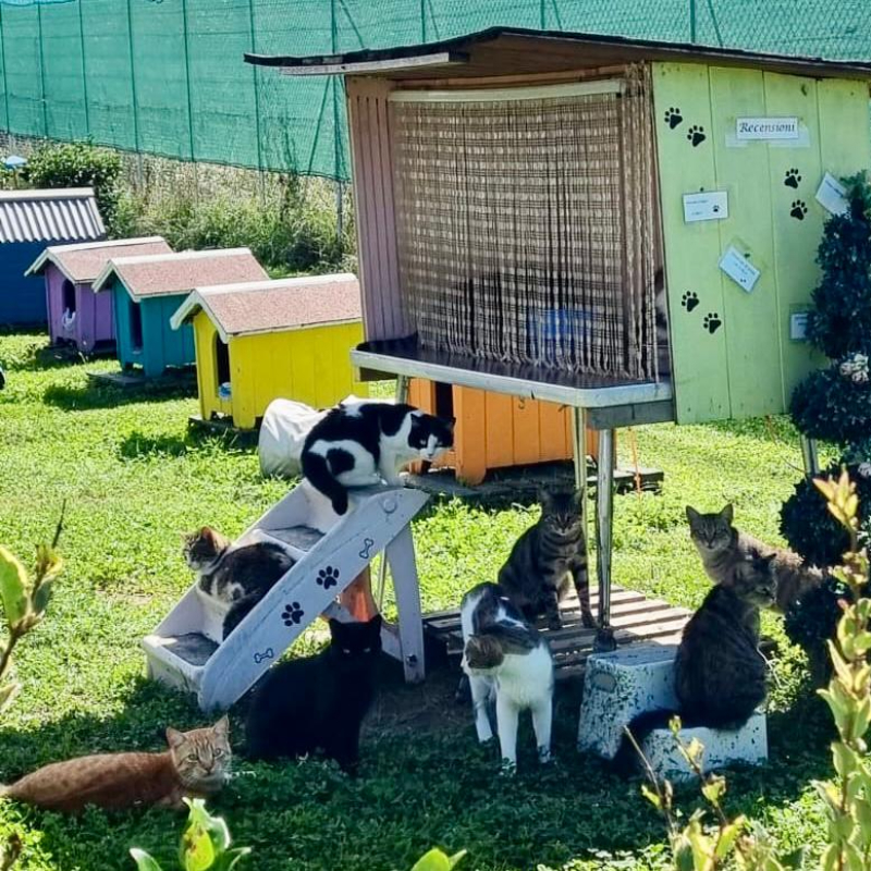 Una piccola scorta per loro.. un aiuto enorme per noi! | Associazione Le Sfigatte