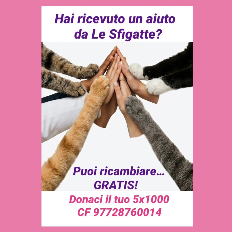 Hai ricevuto un aiuto da Le Sfigatte? Puoi ricambiare.. gratis! Donaci il tuo 5x1000 | Associazione Le Sfigatte