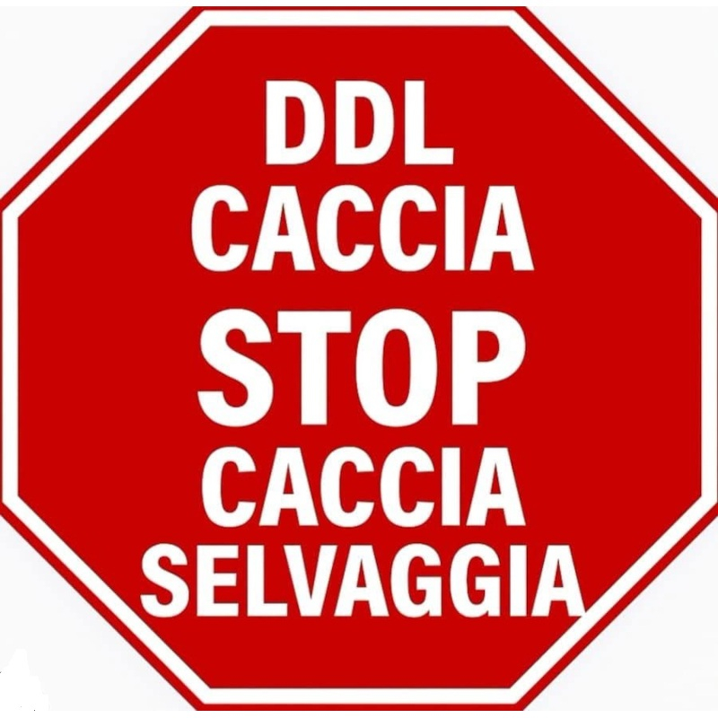 FIRMATE E CONDIVIDETE!! | Associazione Le Sfigatte