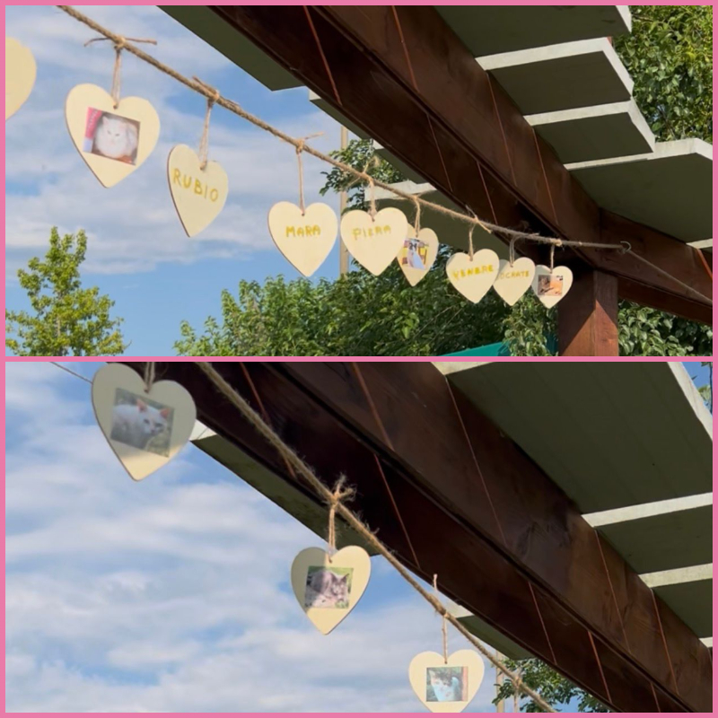 Il Ponte del Ricordo <i class="fa fa-heart" style="color: #ff0000;"></i> | Associazione Le Sfigatte