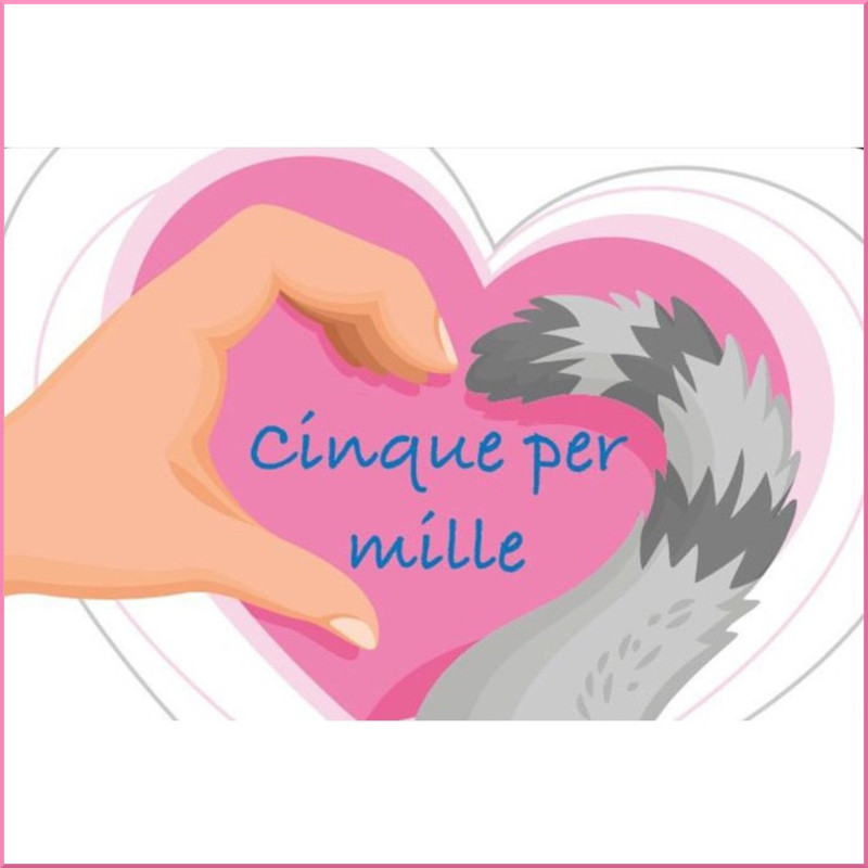 news di Le Sfigatte