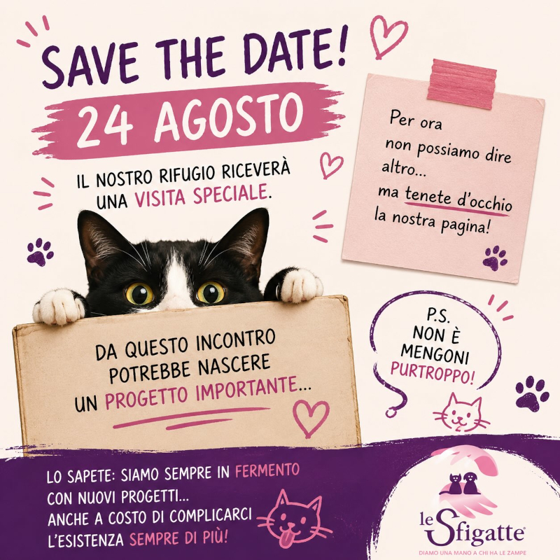 Save the Date - 24 agosto | Associazione Le Sfigatte