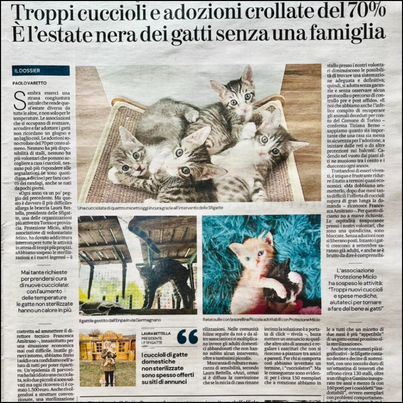 Oggi parliamo anche dalle pagine di La Stampa | Associazione Le Sfigatte