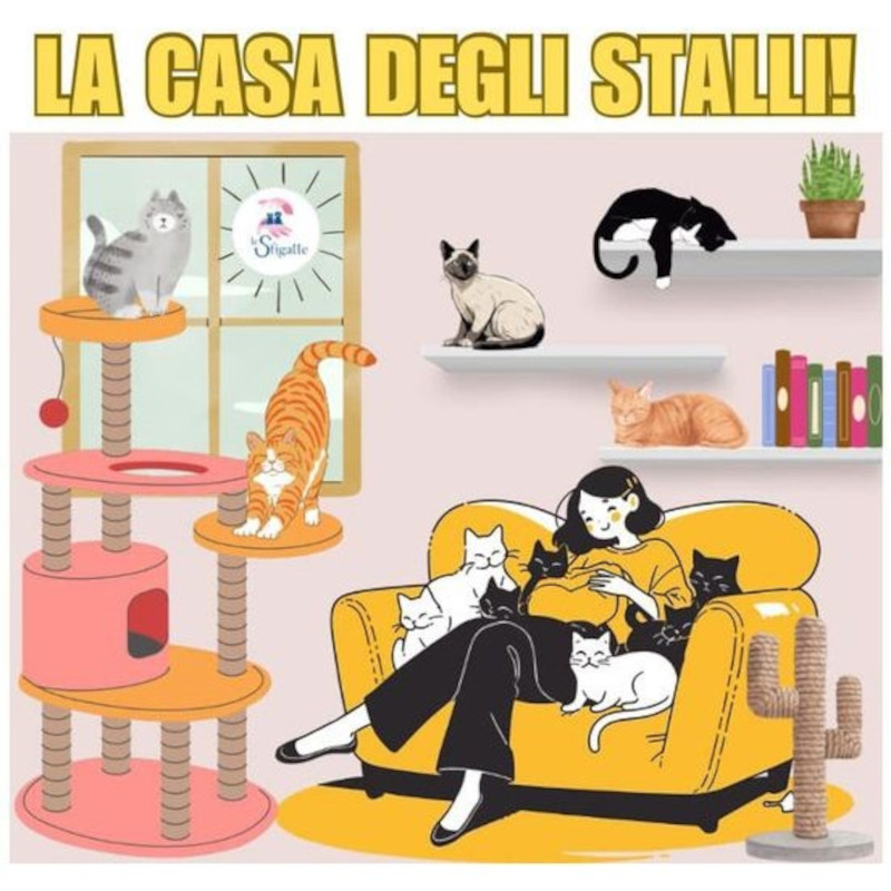 La Casa degli Stalli ha bisogno di te! (a Torino) | Associazione Le Sfigatte