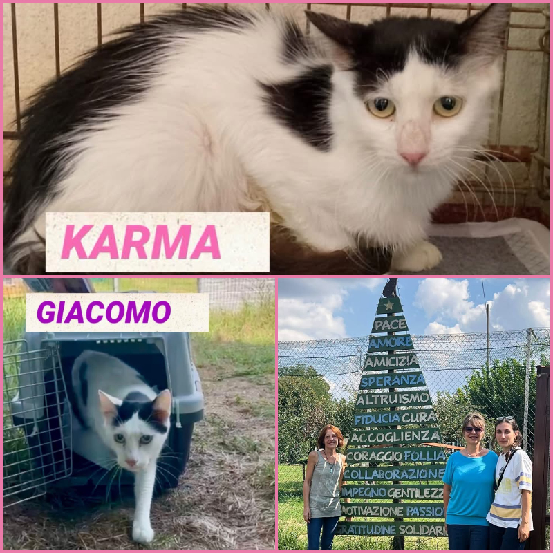Karma da Palermo e Giacomo da Favignana: quando le associazioni fanno rete, i confini non esistono | Associazione Le Sfigatte