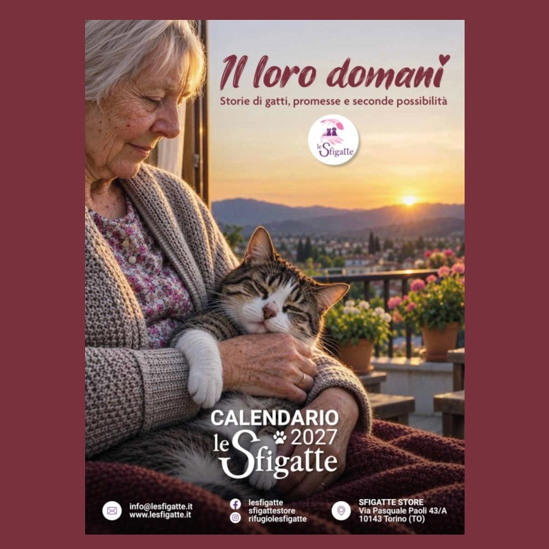 <i class="fa fa-paw"></i> Lo stavate aspettando? Il calendario Le Sfigatte 2027 sta per arrivare" | Associazione Le Sfigatte