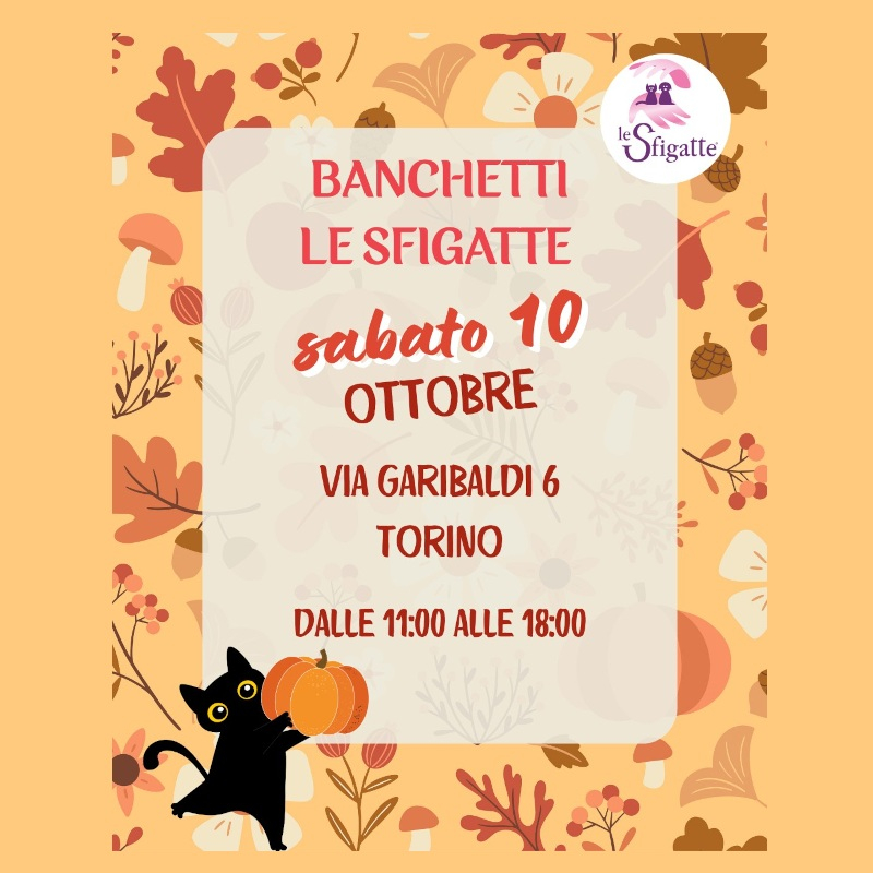<i class="fa fa-paw"></i> Sorpresa sorpresa! Le Sfigatte vanno in centro! <i class="fa fa-paw"></i> | Associazione Le Sfigatte