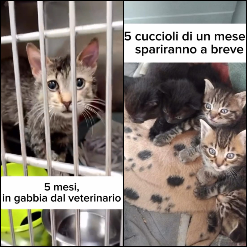 "Provate a sentire Le Sfigatte." Grazie per la fiducia. Ma i posti non compaiono per magia | Associazione Le Sfigatte