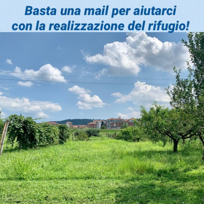 news di Le Sfigatte