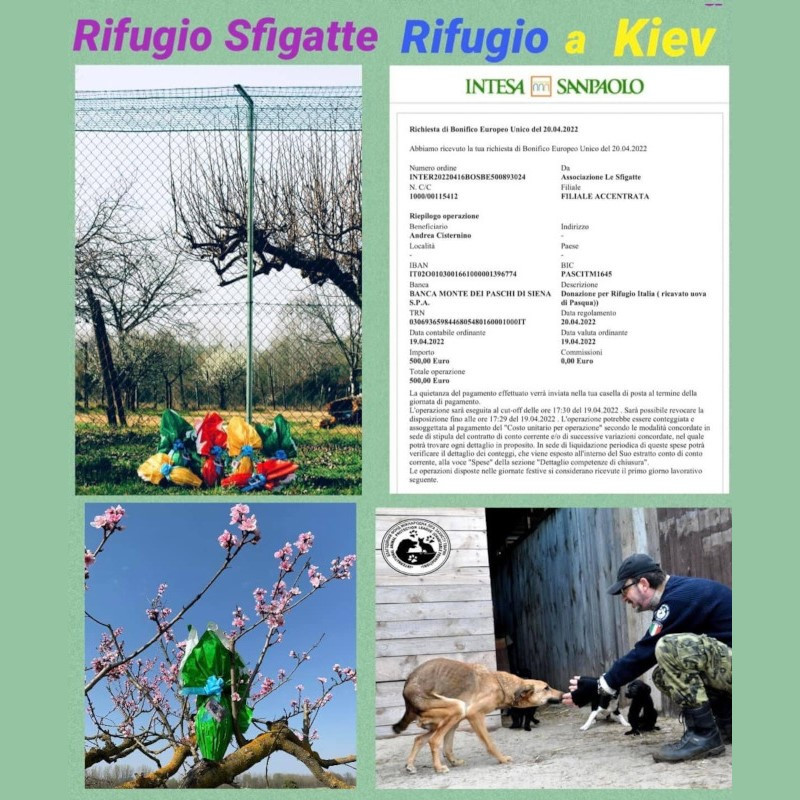 news di Le Sfigatte