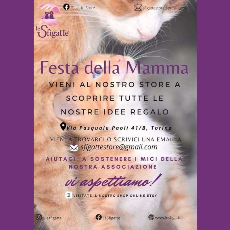 news di Le Sfigatte