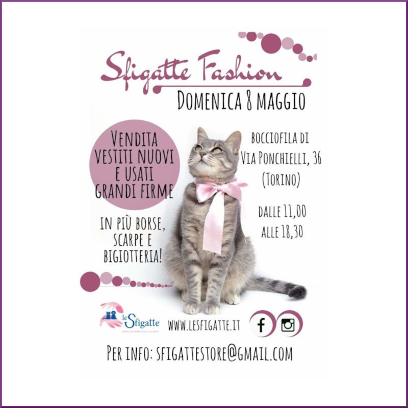 news di Le Sfigatte