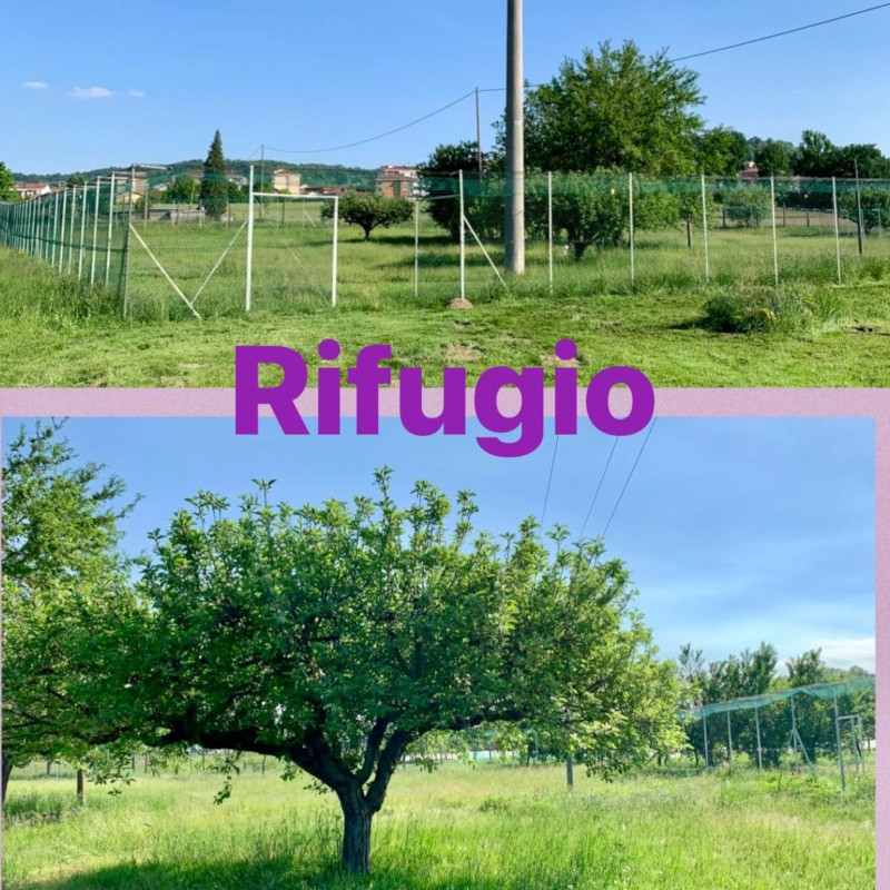 news di Le Sfigatte