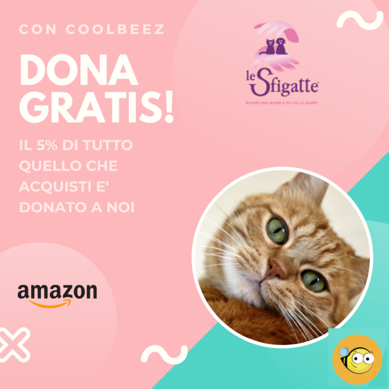 news di Le Sfigatte