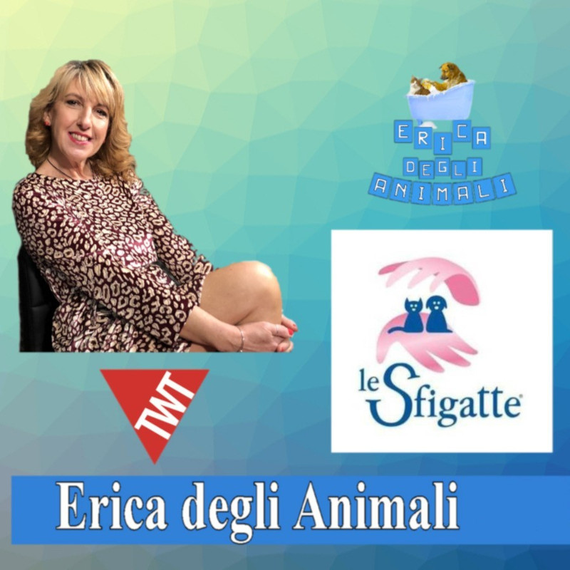 news di Le Sfigatte