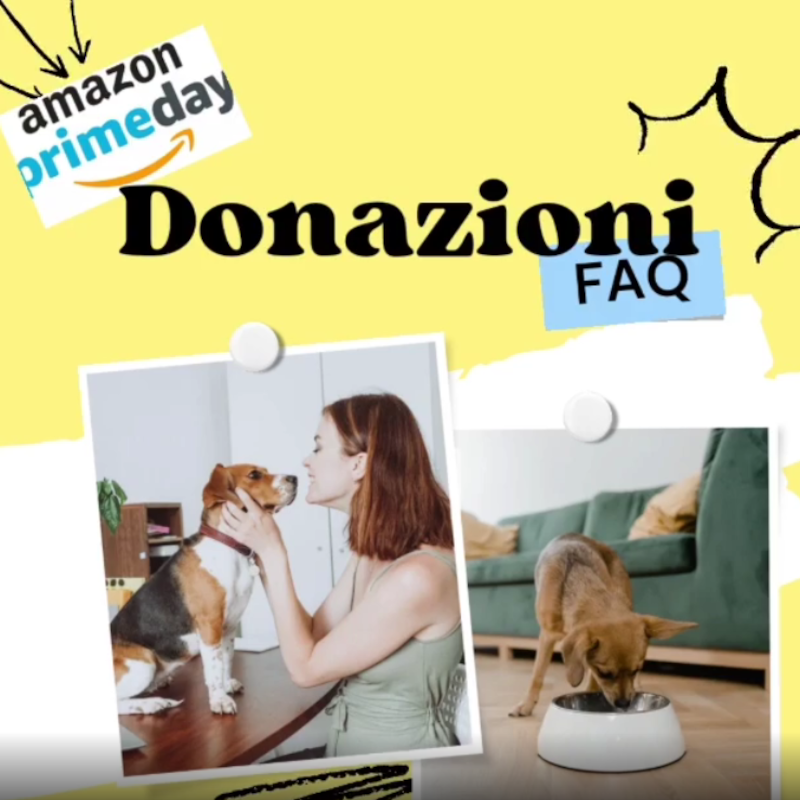 news di Le Sfigatte