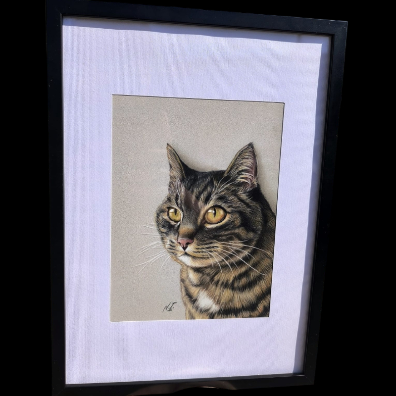 Nordin Injarn, ritrattista di animali: per ogni ritratto commissionato dai nostri sostenitori, riceveremo una donazione minima di 10€! | Associazione Le Sfigatte