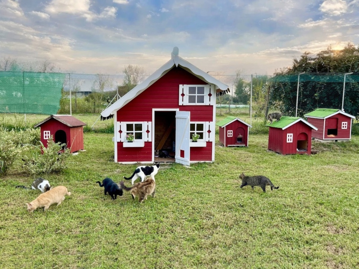 Area Nordica | Rifugio Le Sfigatte