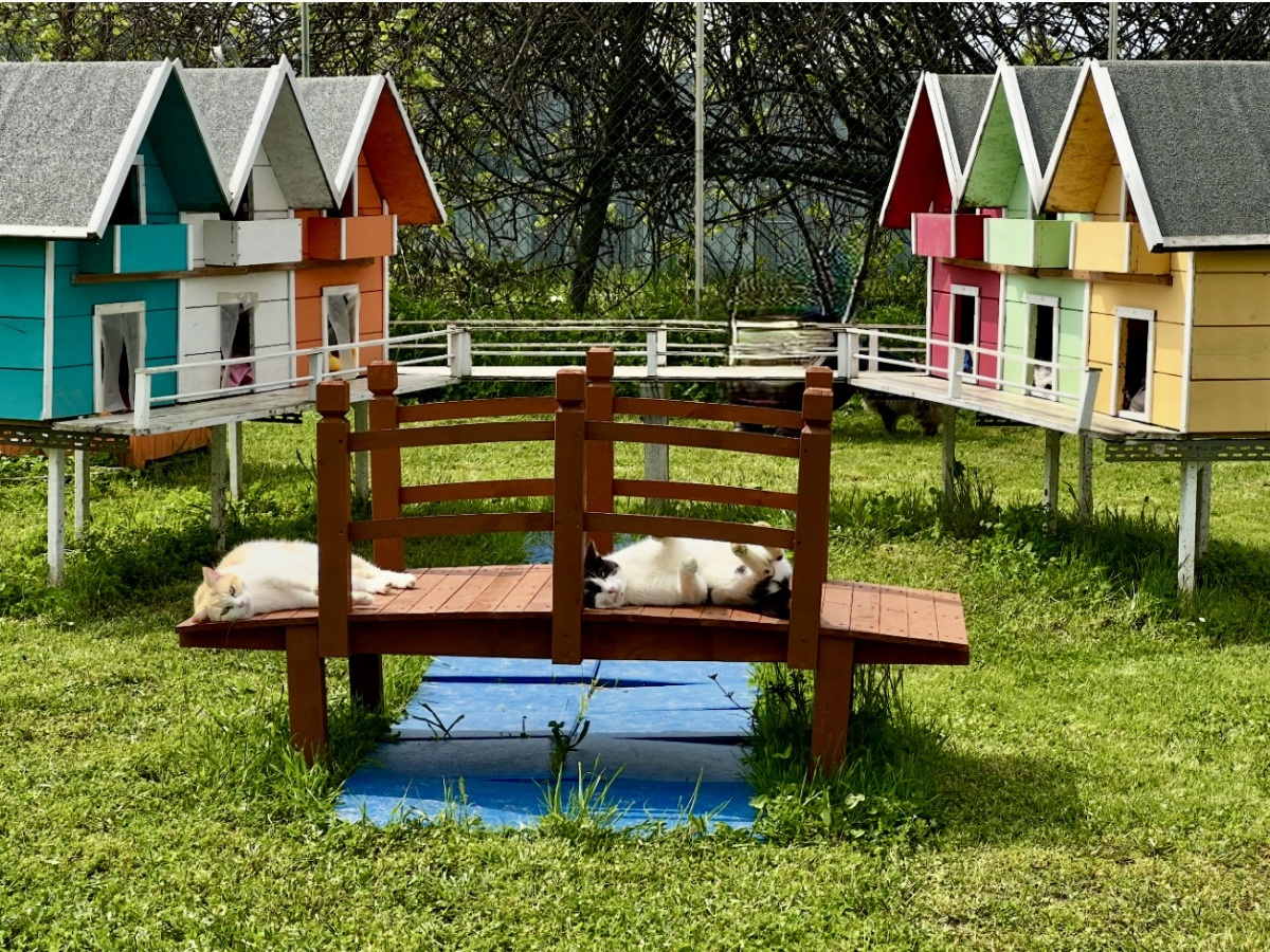 Area Nordica | Rifugio Le Sfigatte