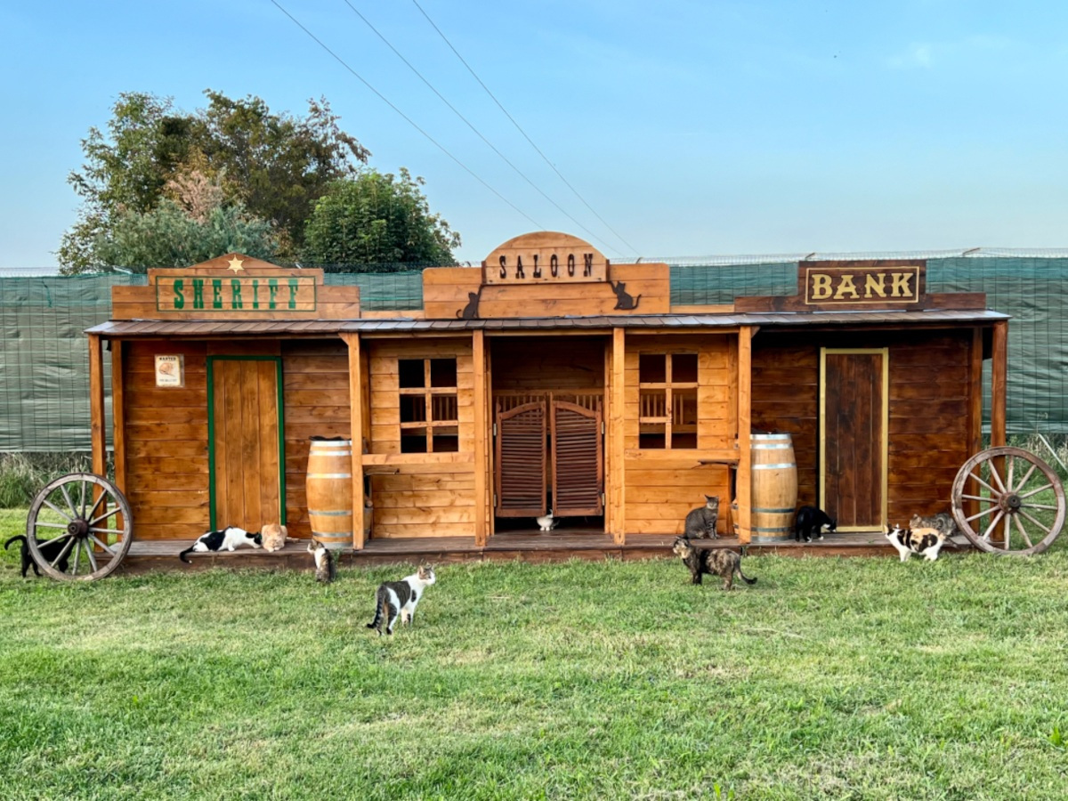 Area Selvaggio West | Rifugio Le Sfigatte