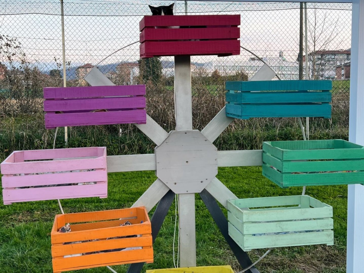 Ruota Panoramica | Rifugio Le Sfigatte