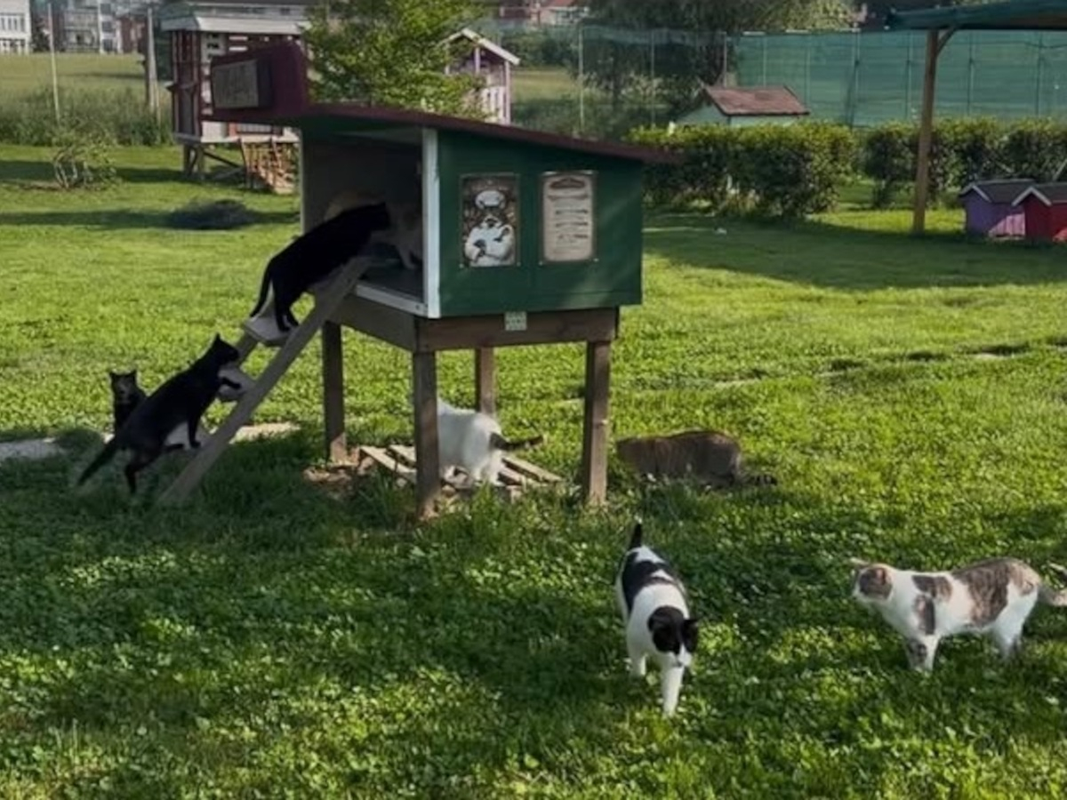 Un punto pappa | Rifugio Le Sfigatte