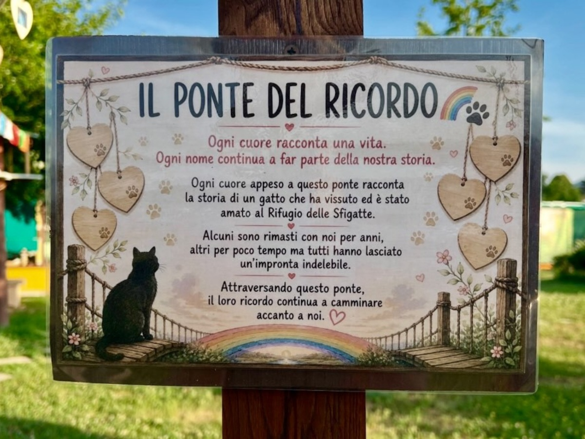 Il Ponte del Ricordo | Rifugio Le Sfigatte